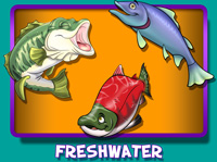 Freshwater Fish