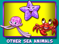 Other Sea Animals