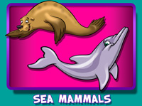 Sea Mammals