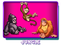 Jungle