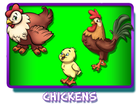 Chickens