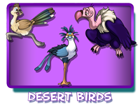 Desert Birds