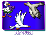 Seagulls