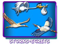 Storks Egrets