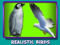 Realistic Birds