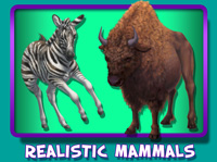 Realistic Mammals